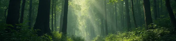end